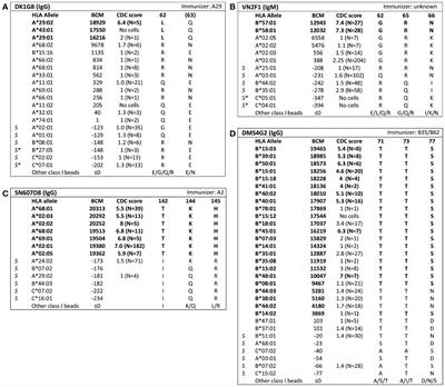 A Comprehensive Evaluation of the Antibody-Verified Status of Eplets Listed in the HLA Epitope Registry